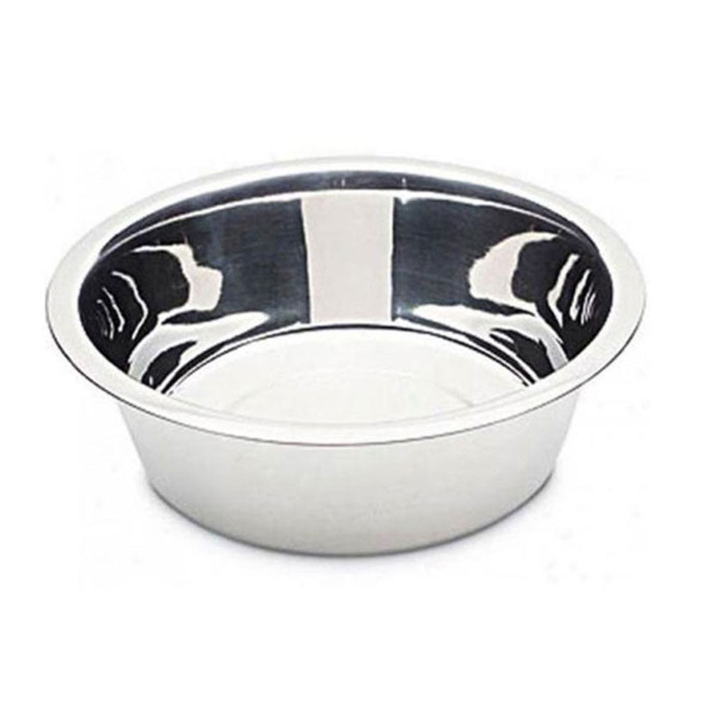 Stainless Steel Bowl