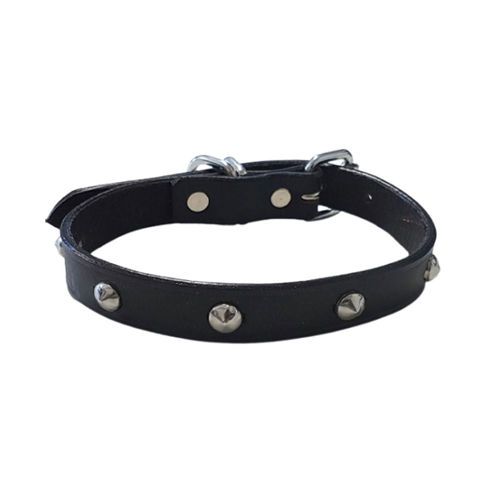 Leather Studded Collar (Black)