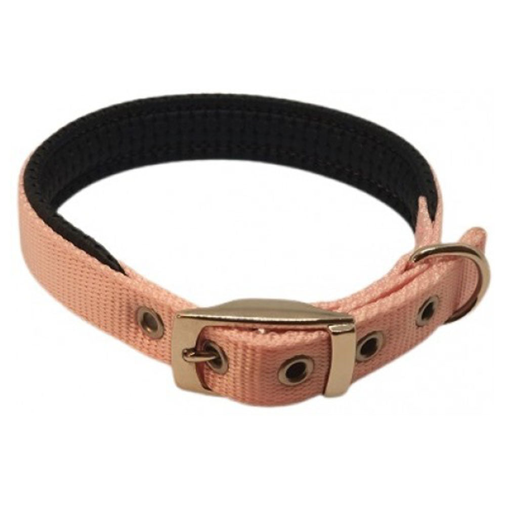 Nylon Padded Collar 35cm