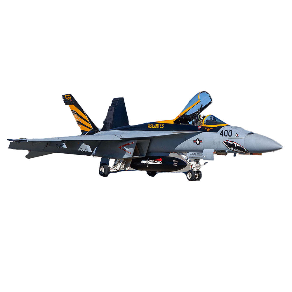 Hasegawa Super Hornet 1/72 Scale Airplane Model