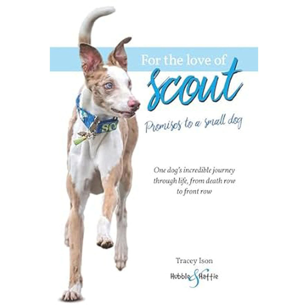 For the Love of Scout by Tracey Ison