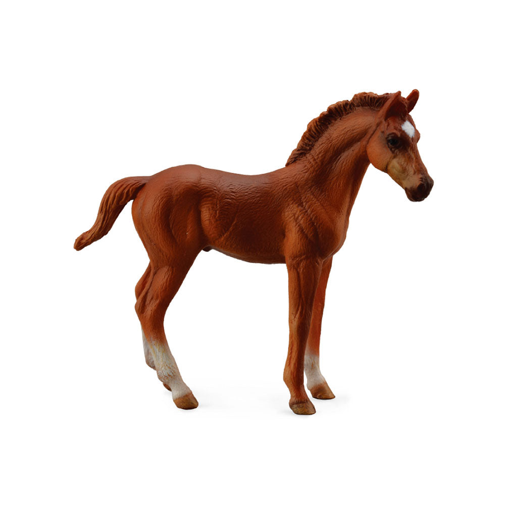 CollectA Thoroughbred Foal Chestnut (Medium)