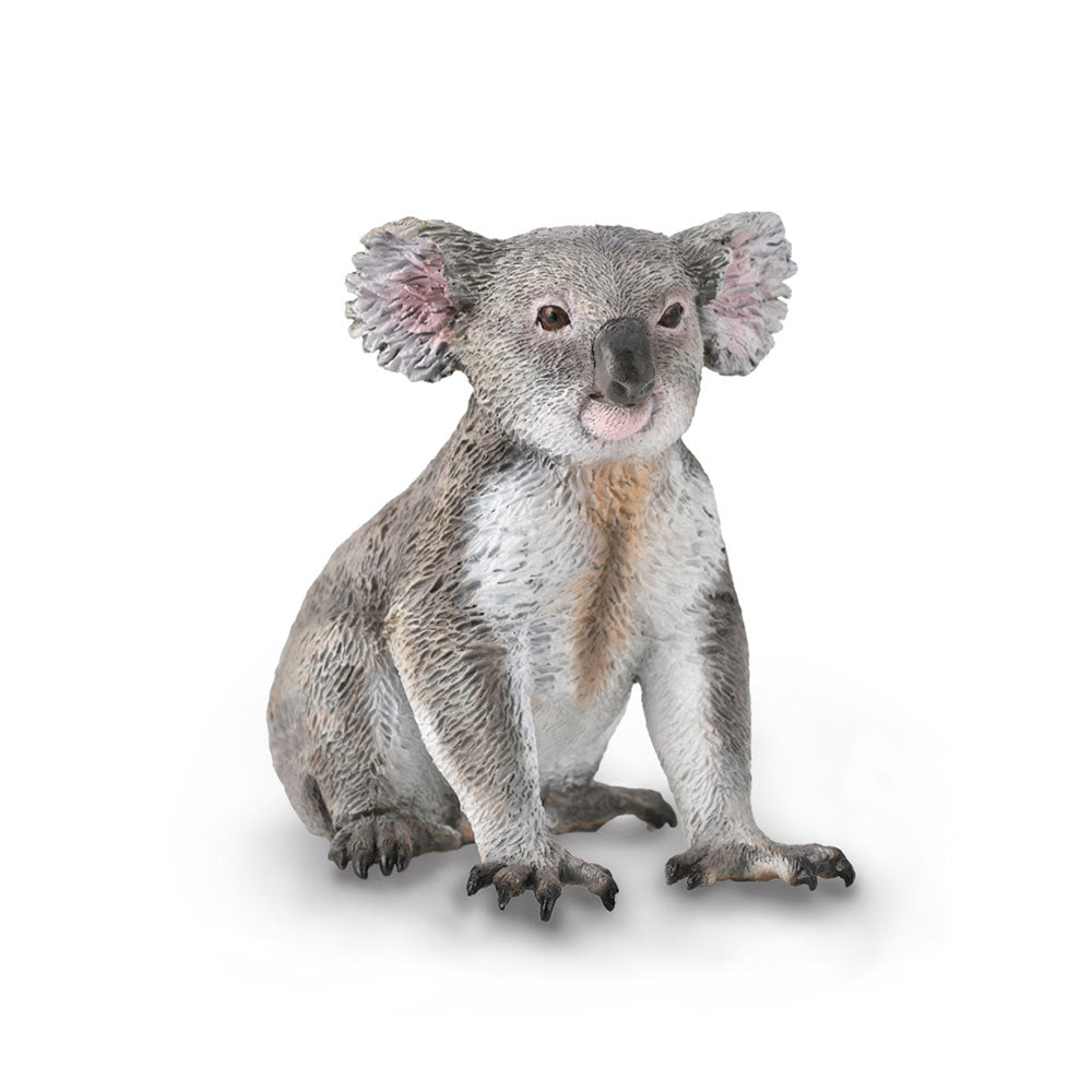 CollectA Koala Figure (Medium)
