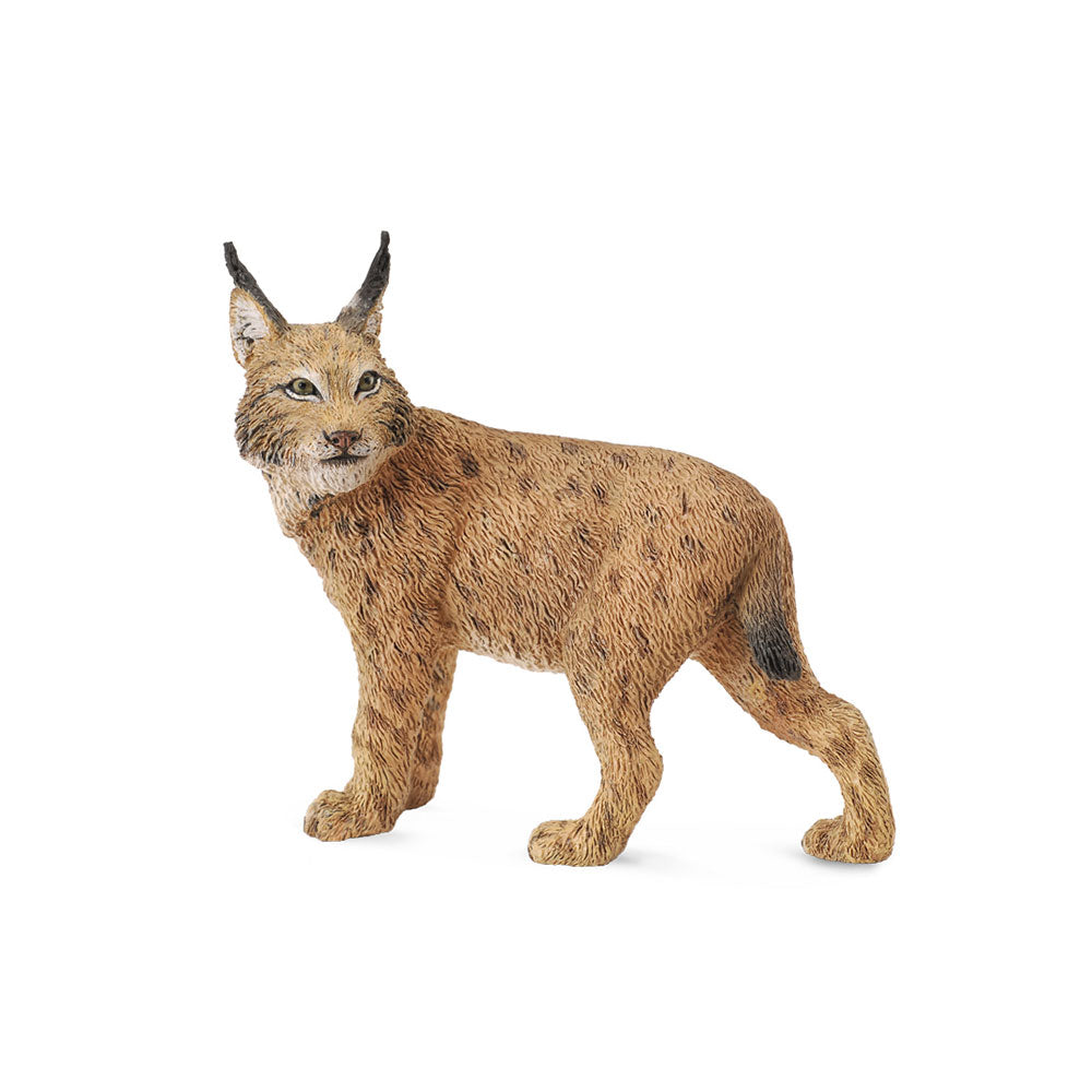 CollectA Lynx Figure (Large)
