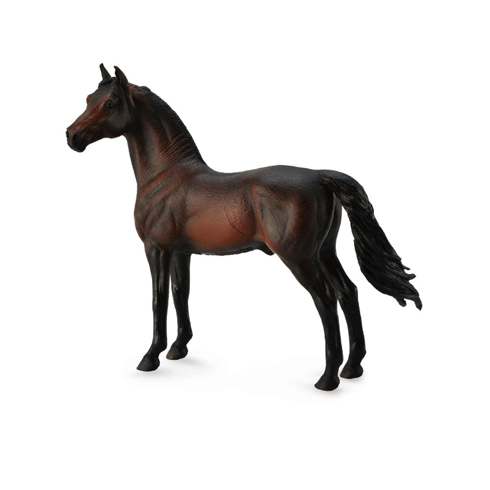 CollectA Morgan Stallion Figure (Extra Large)