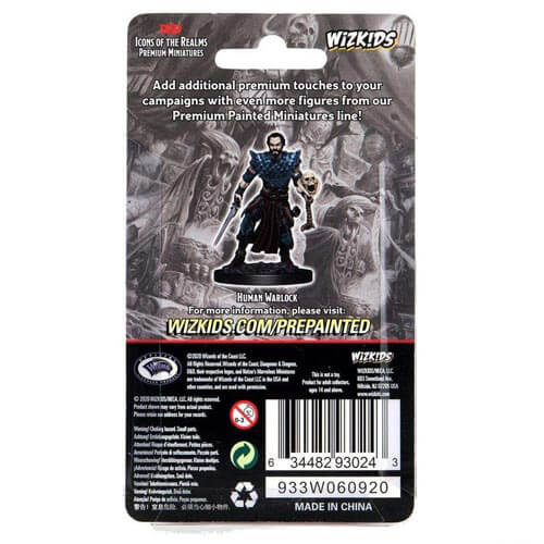 Dungeons & Dragons Premium Human Warlock Male Miniature